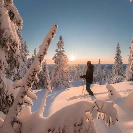 Dom wakacyjny The Blue