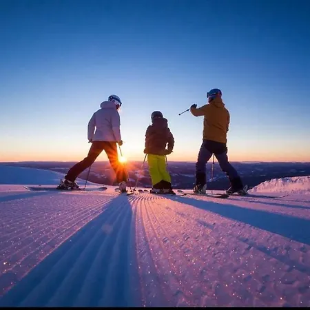 The Blue Dom wakacyjny